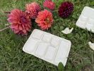 Palette | Ornament in Decorative Objects by Vanillecocola. Item made of ceramic