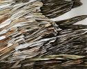 Cliffside series(4 and 6) | Prints by Sangeeta Sagar. Item composed of paper