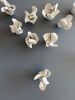 Handmade Clay Azalea Flower Set – Floral Sculpture, 19 Piece | Wall Sculpture in Wall Hangings by Leramic