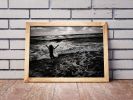 Pure Joy | Limited Edition Print | Photography by Tal Paz-Fridman | Limited Edition Photography. Item made of paper compatible with country & farmhouse and coastal style