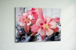 Pink Columbine Fantasy - Print on Metal | Prints by Amber Lamoreaux Art. Item made of metal compatible with boho and contemporary style