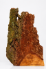 Dendritic Fire | Decorative Objects by Raulferc