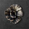 Forest Floor pull | Hardware by The Vula Collection. Item composed of bronze
