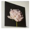 Peony Bloom Botanical Floral Art | Photography by Tal Shpantzer | Talfoto Studio | Brooklyn in Brooklyn