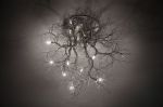 Roots Medium | Chandeliers by F+M FOS - Anna Maria Fragiskos Bitros. Item made of copper works with modern style
