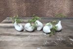 mini vases | Vases & Vessels by Mara Lookabaugh Ceramics