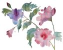 Hibiscus No. 4 : Original Watercolor Painting | Paintings by Elizabeth Becker. Item composed of paper in boho or minimalism style