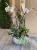 Pure white Orchid arrangement | Floral Arrangements by Fleurina Designs. Item composed of stone