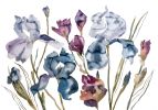 Irises No. 2 : Original Watercolor Painting | Paintings by Elizabeth Becker. Item made of paper works with boho & minimalism style