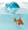 Space Mountain Fishbowl | Decorative Box in Decorative Objects by Esque Studio. Item made of glass