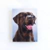 Dogs in the Cafe by Zann Hemphill | Oil And Acrylic Painting in Paintings by Paws By Zann Pet Portraits | Riso Foods in Lantzville. Item composed of canvas