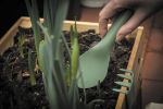 Green-It | Plants & Flowers by Viviana Degrandi | RIG-TIG in København