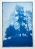 The Day Begins: 35 x 23" original cyanotype, ed. 1 of 3) | Photography by Christine So. Item composed of paper in rustic or traditional style