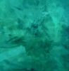 Eternal Green Original Monochromatic Resin Abstract Painting | Oil And Acrylic Painting in Paintings by MELISSA RENEE fieryfordeepblue  Art & Design | Salon Platinum - Aliso Viejo, Orange County, CA in Aliso Viejo. Item composed of wood and synthetic in minimalism or contemporary style