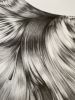 Flow | Drawings by Russ Snedker. Item composed of paper