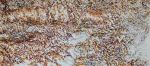 ‘Rocks’ | Oil And Acrylic Painting in Paintings by Sangeeta Sagar. Item composed of canvas and synthetic in contemporary or modern style