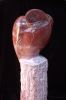 Red Bird | Public Sculptures by Jim Sardonis. Item composed of marble