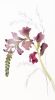 Floral No. 18 : Original Watercolor Painting | Paintings by Elizabeth Beckerlily bouquet. Item made of paper compatible with minimalism and contemporary style