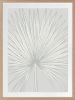 Nobilis Palm - 1 & 2 & 3 - Tide - Framed Art | Prints by Patricia Braune. Item made of canvas & paper