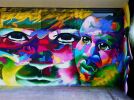 Freedom | Street Murals by Juan Diaz | Fleischman Park Skate Park in Naples. Item made of synthetic