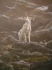 Alaskan Tundra Mural | Murals by Robert Evans Murals, Inc. | Woodland Park Zoo in Seattle. Item made of synthetic