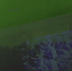 Green Danube | Photography by Parker Moses. Item made of canvas works with urban style