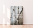 Birch tree I | Oil And Acrylic Painting in Paintings by DANIELA PASQUALINI. Item made of canvas with synthetic