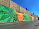 Tbilisi Mural Festival 2019 | Murals by Musya Qeburia