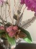 Blooming spring orchids | Floral Arrangements by Fleurina Designs | Lash Out Loud Beauty Bar in Los Gatos