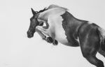 The Great Escape | Drawings by Patsy McArthur. Item composed of paper