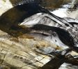 Golden Insight | 41x37 | Fine Art Paintings | Oil And Acrylic Painting in Paintings by Jacob von Sternberg Large Abstracts. Item composed of canvas and synthetic