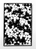 MITOSIS | Mixed Media by Stefano Gramantieri | London in London