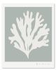 Richard Gene Barbera Seagrass Series | Prints by RGB Fine Art. Item composed of paper