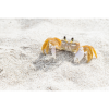 Photograph • "King", Crab, Ocean, Beach, Nautical, Macro | Photography by Honeycomb. Item made of metal & paper compatible with coastal style