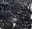 Intuition | 41x31 | Large Abstract Black And White | Oil And Acrylic Painting in Paintings by Jacob von Sternberg Large Abstracts. Item composed of canvas & synthetic