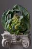 Food Photography | Photography by Upstart Modern | Quarry Hill Antiques in Mill Valley. Item made of paper