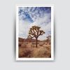 Joshua Tree No. 9 (Ltd Edition) | Photography by Daylight Dreams Editions. Item composed of paper in boho or contemporary style
