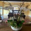 Rustic Orchid and Succulent Arrangements | Floral Arrangements by Fleurina Designs