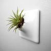 Modern Ceramic Wallscape Planters - Pandemic Design Studio | Living Wall in Plants & Landscape by Pandemic Design Studio | Philadelphia in Philadelphia. Item made of ceramic works with mid century modern & modern style