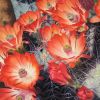 'Claret Cup Cactus' Original Oil Painting (Commission) | Oil And Acrylic Painting in Paintings by Jenny Stewart's Fine Art. Item made of canvas works with contemporary & rustic style