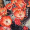 'Claret Cup Cactus' Original Oil Painting (SOLD) | Oil And Acrylic Painting in Paintings by Jenny Stewart's Fine Art. Item made of canvas works with contemporary & rustic style