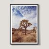 Joshua Tree No. 9 (Ltd Edition) | Photography by Daylight Dreams Editions. Item composed of paper in boho or contemporary style