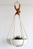 Macrame Plant Hanger, Knotted Plant Holder | Plants & Landscape by Freefille. Item composed of cotton compatible with contemporary and modern style