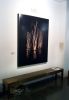 Trees in Marsh, 62"x 48", edition 4/6 | Photography by Chris Becker | Holly Hunt New York in New York. Item composed of aluminum and synthetic