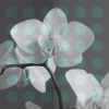 Photography, Filtered Elements II | Photography by Scott Woodward Meyers Art. Item composed of paper in minimalism or contemporary style