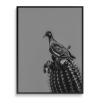 PERCH | B&W | Southwest Photography | Minimalist Print | Photography by Jess Ansik. Item made of paper works with minimalism & eclectic & maximalism style