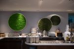 Preserved lichen wall and G-Circles for Thon Hotel EU | Interior Design by Greenmood | Thon Hotel EU in Bruxelles