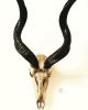 Africa Kudu Skull - Gold | Ornament in Decorative Objects by Gypsy Mountain Skulls. Item works with country & farmhouse & eclectic & maximalism style