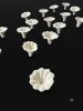 Handmade Clay Petunia Flower Set – Floral Sculpture | Sculptures by Leramic