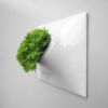 Modern Shower - Ceramic Wall Planter Configuration | Vase in Vases & Vessels by Pandemic Design Studio | New York in New York. Item made of ceramic